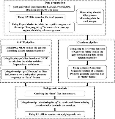 Genome-partitioning strategy, plastid and nuclear phylogenomic discordance, and its evolutionary implications of Clematis (Ranunculaceae)